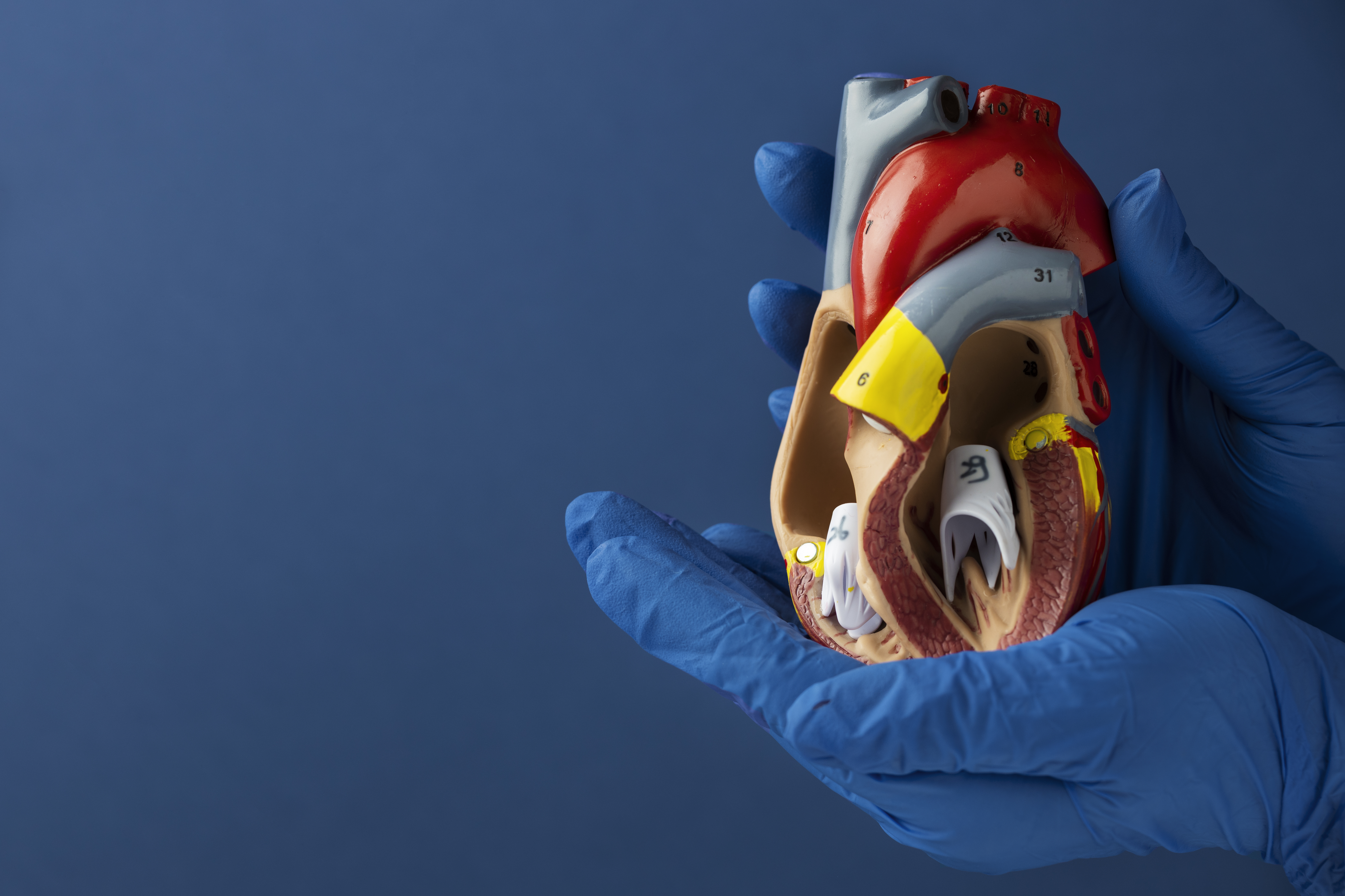 Universidade do Coração encerra seu primeiro curso de Pós-Graduação em Insuficiência Cardíaca