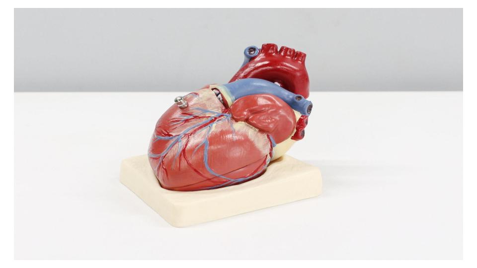 SBC/DEIC lança revista científica sobre insuficiência cardíaca e miocardiopatias